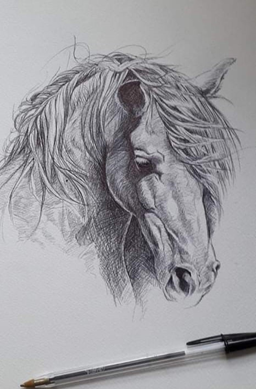 Learner sketch depicting horse