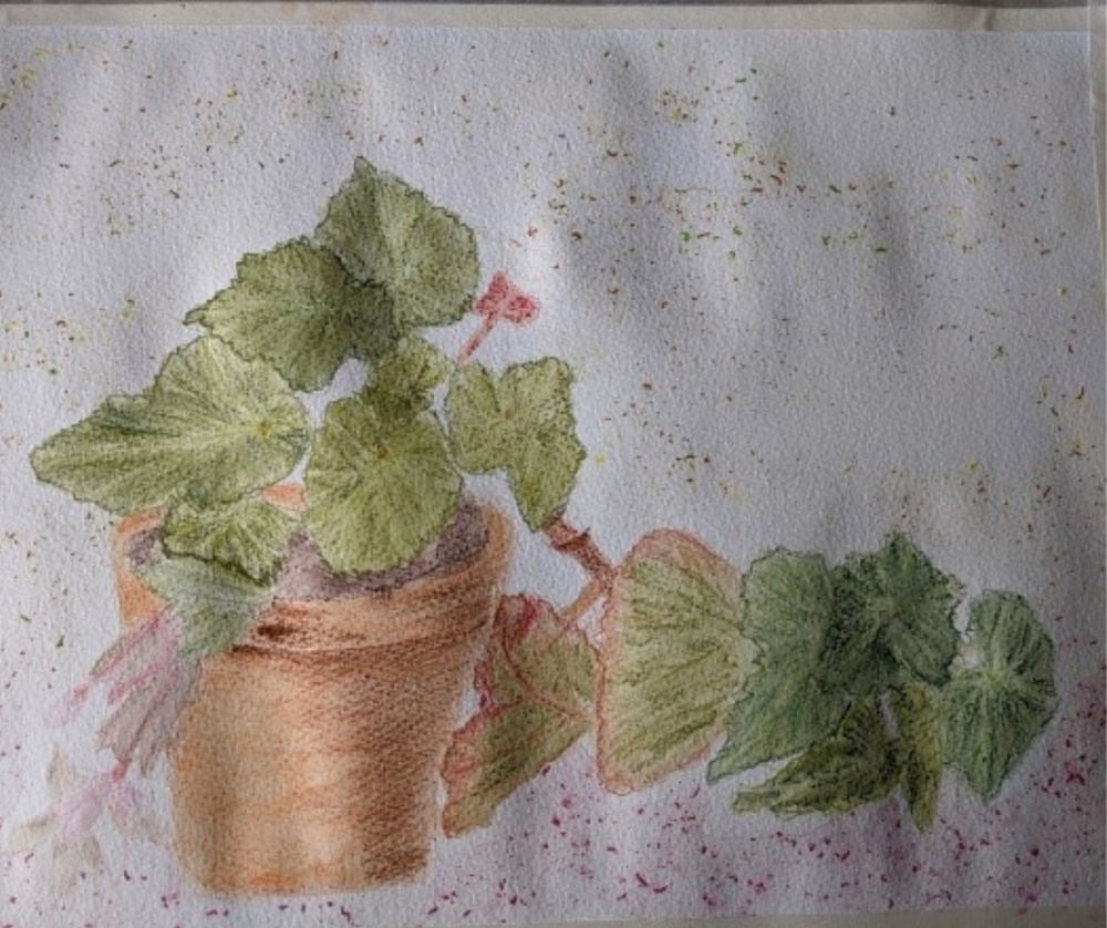 A painting of a plant in pot