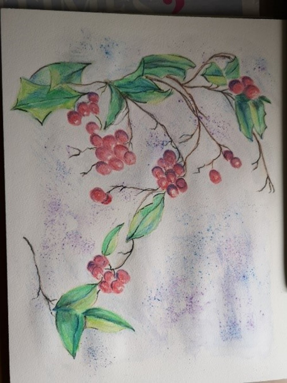 Painting of christmas plant with red fruits