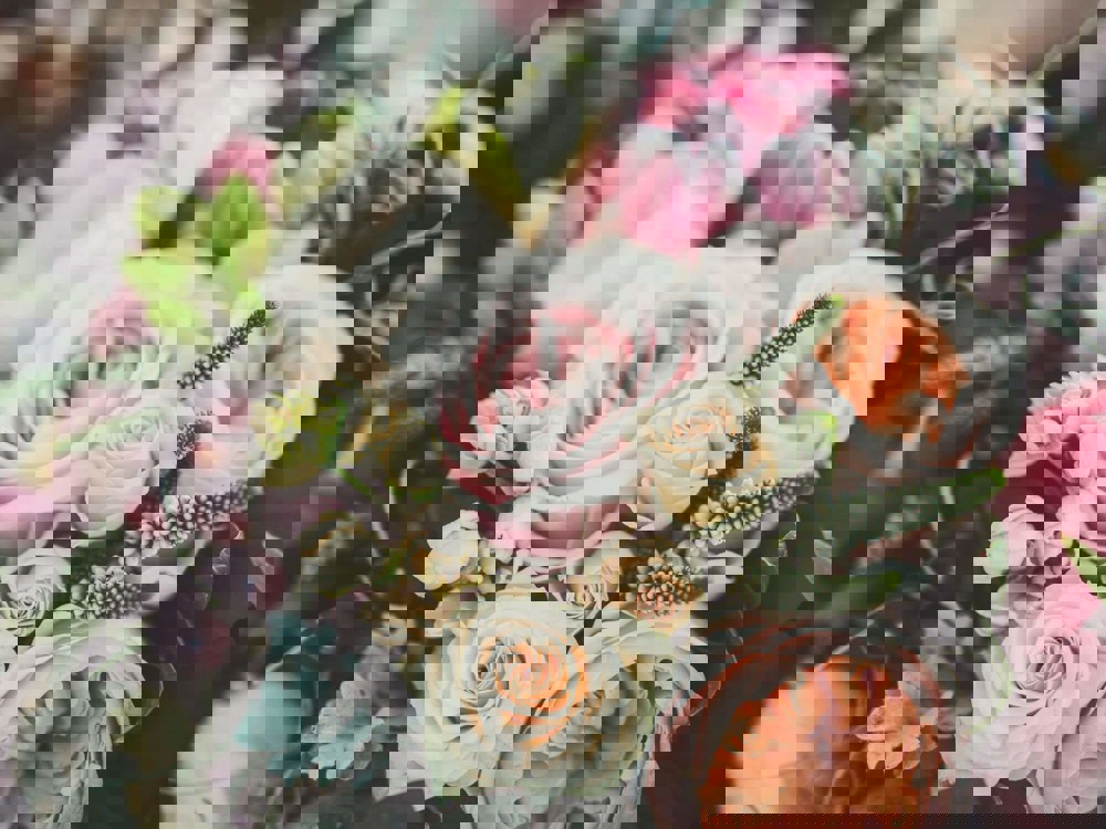 A bouquet of flowers