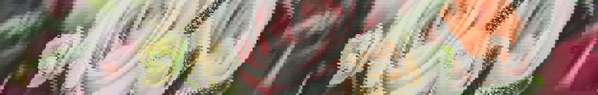 A bouquet of flowers