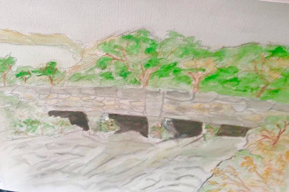 Learner painting of overgrown bridge