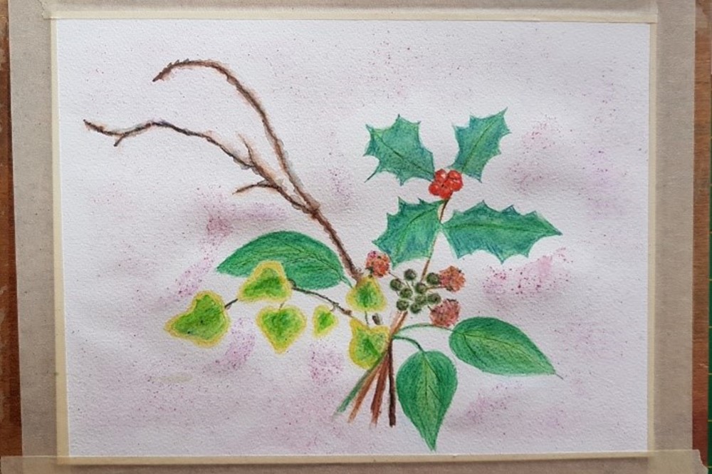 A painting of a holly plant 