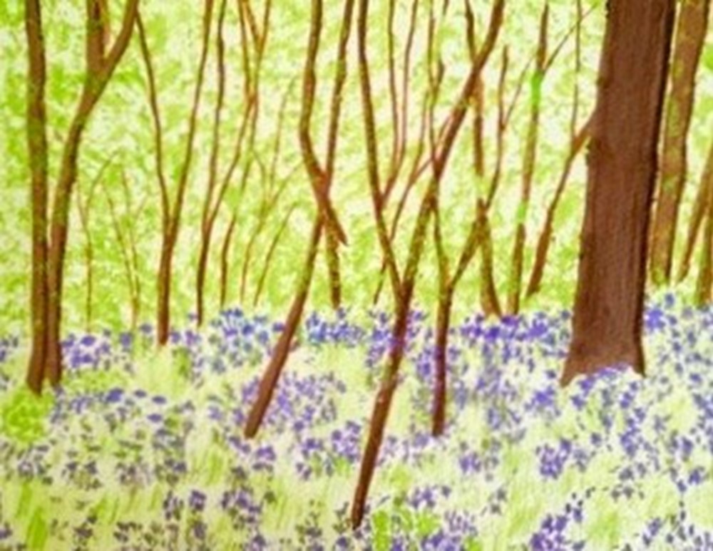 Learner painting of bluebells amongst trees