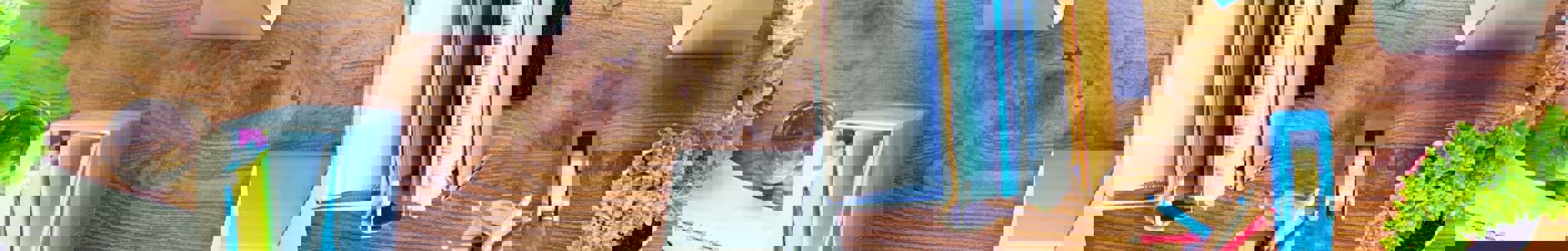 People working on laptops and iMacs