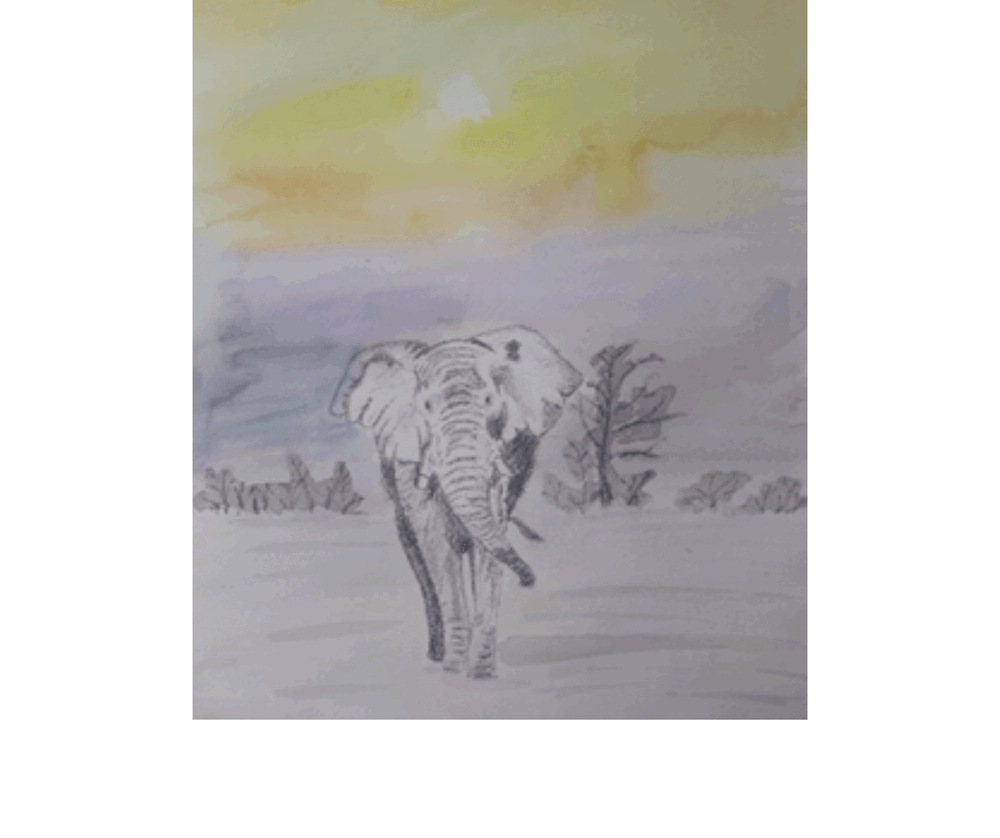 Elephant painting 