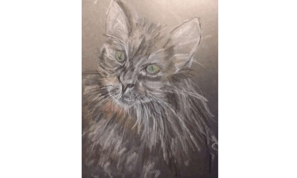 cat painting