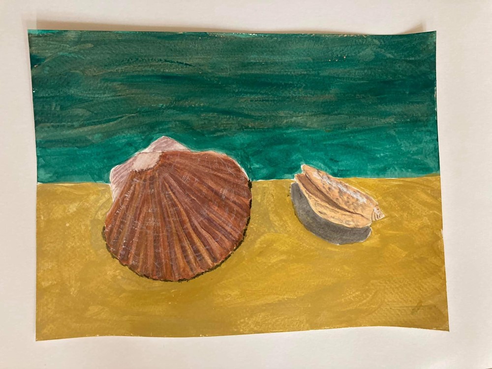 Shells painting